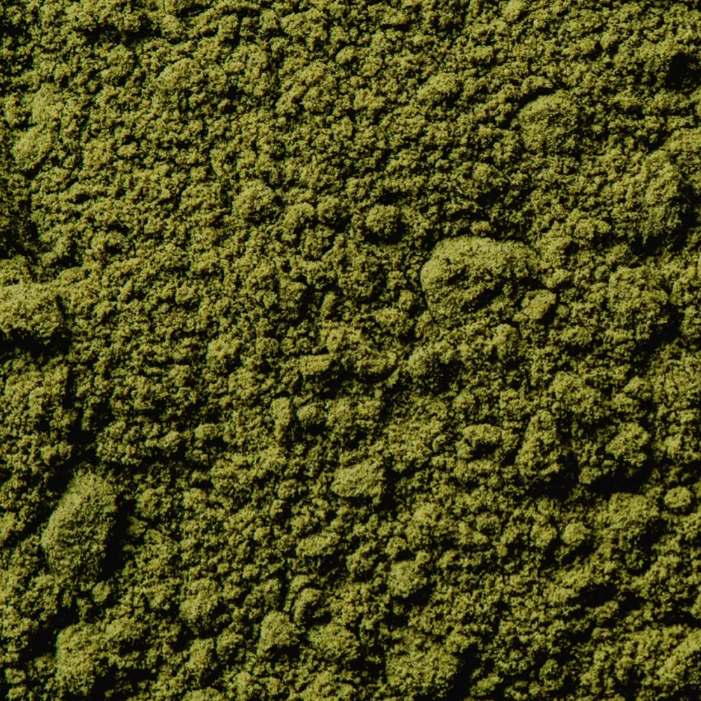 Nærbilde av matcha-pulver – Et tett, detaljert bilde av fint malt grønt te-pulver, kjent som matcha. Pulveret har en rik grønn farge og en lett kornete tekstur, med små klumper og et jevnt, men naturlig variert mønster. Matcha brukes tradisjonelt i japansk te-seremoni og som ingrediens i mat og drikke.